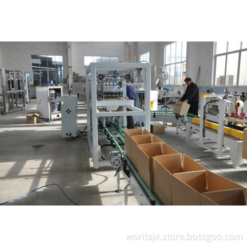 Carton Packing Machine (WD-ZX15)
